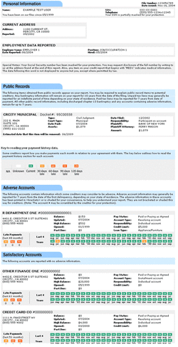 Example of credit report