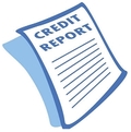 Credit Report icon